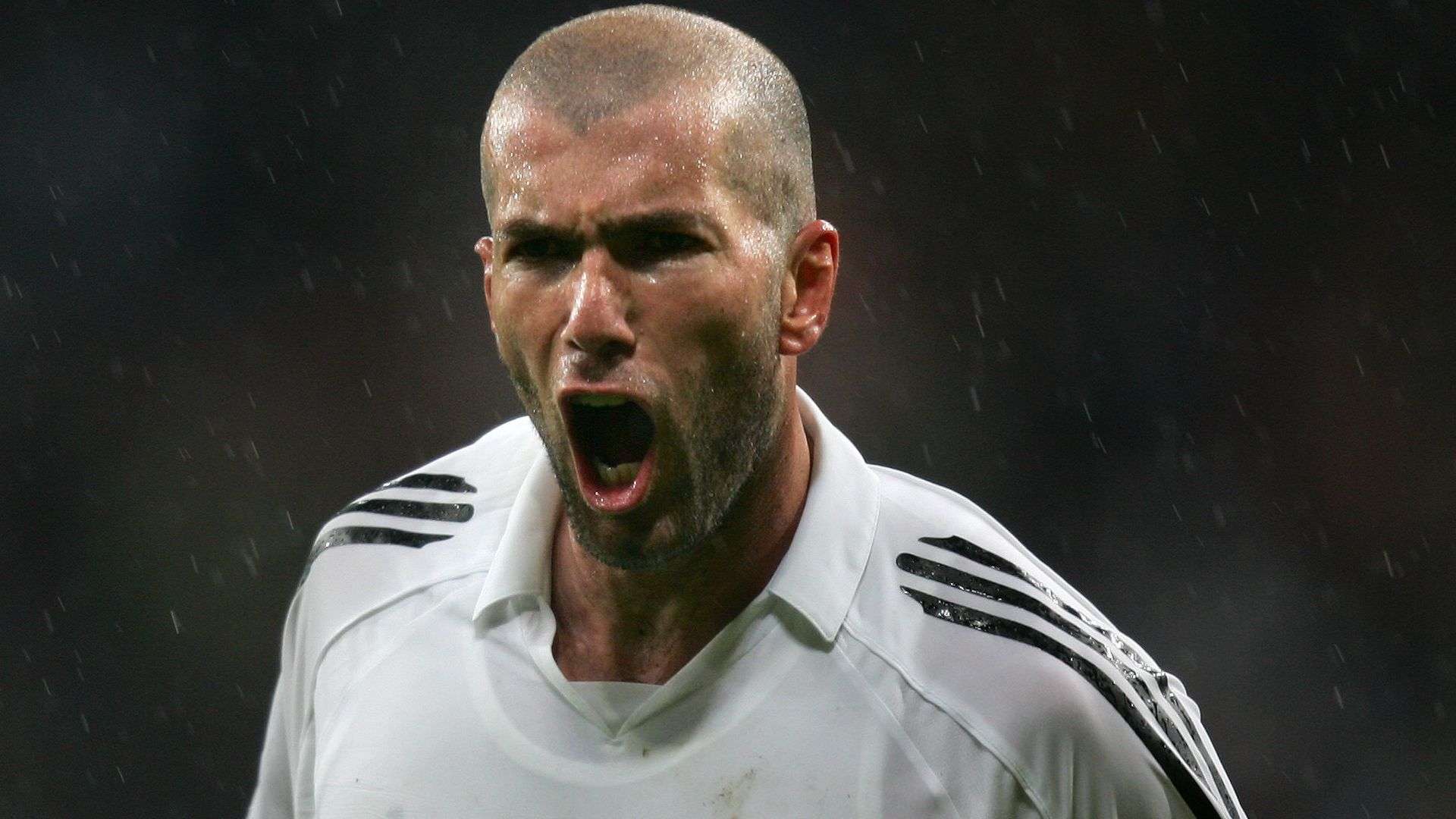 许多可能性 许多可能性